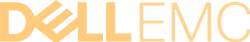 Dell_EMC_logo_small_orange
