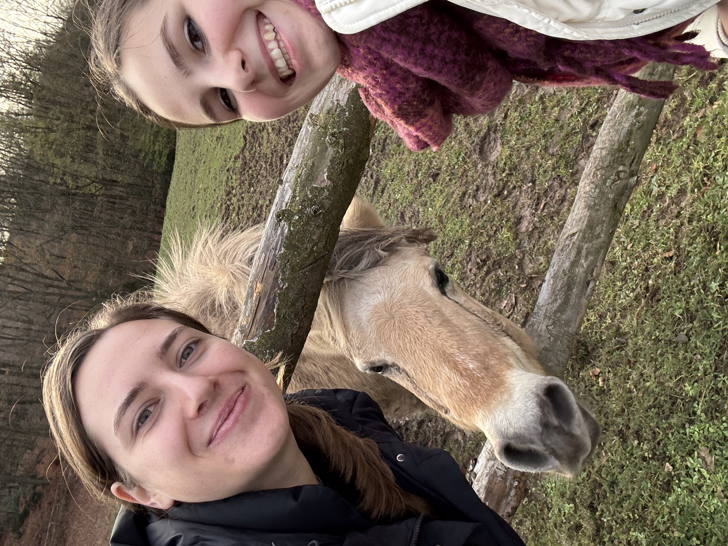 Unser Weihnachtsevent 2025: Wanderung durch den Langerweher Wald zum Weihnachtsmarkt auf Schloss Merode 
