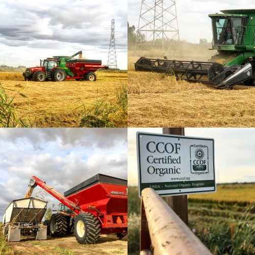 Location: East Nicolaus, CA