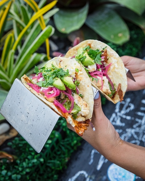 Coyo Taco