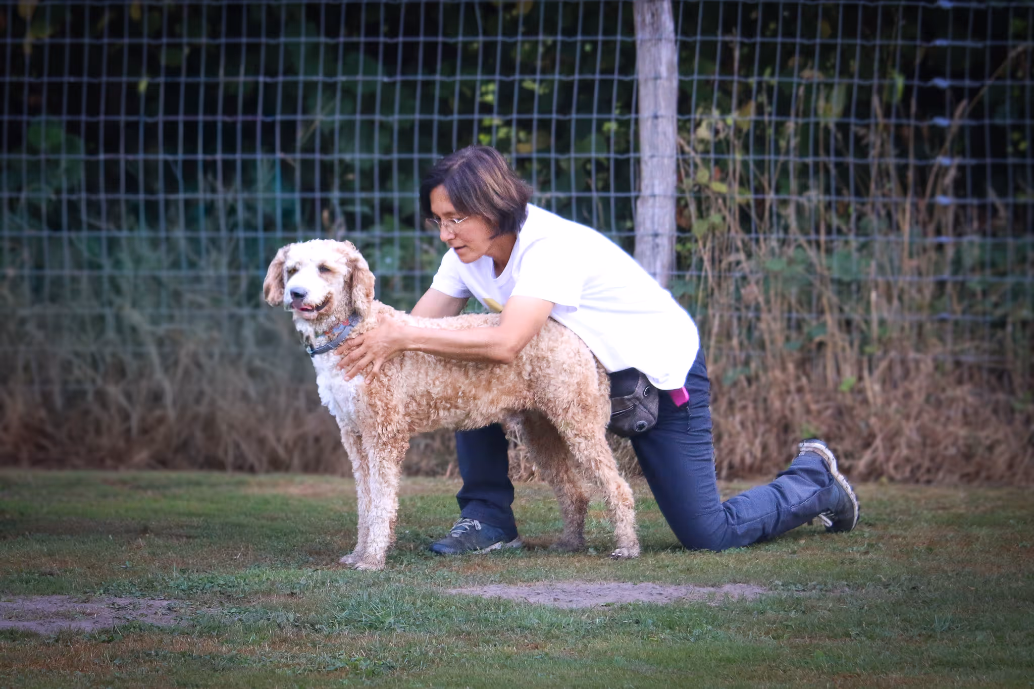 Doing Cranial Sacral to a dog