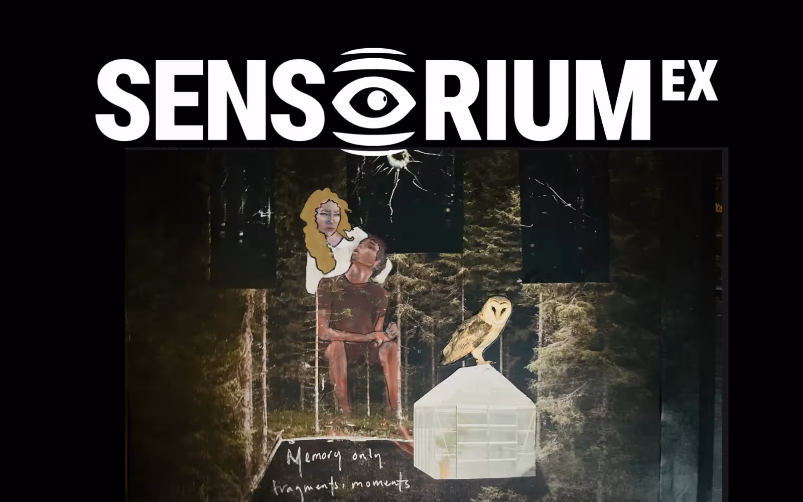 SENSORIUM EX AT THE COMMON SENSES FESTIVAL