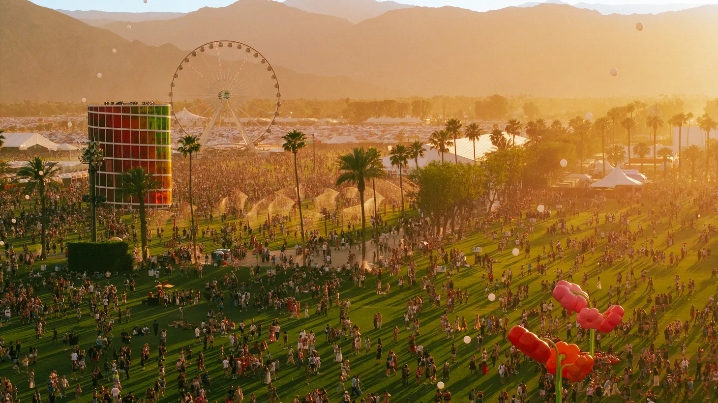 Festival Season in the Desert is Here! 