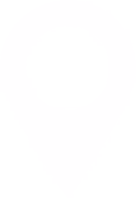 pin map icon