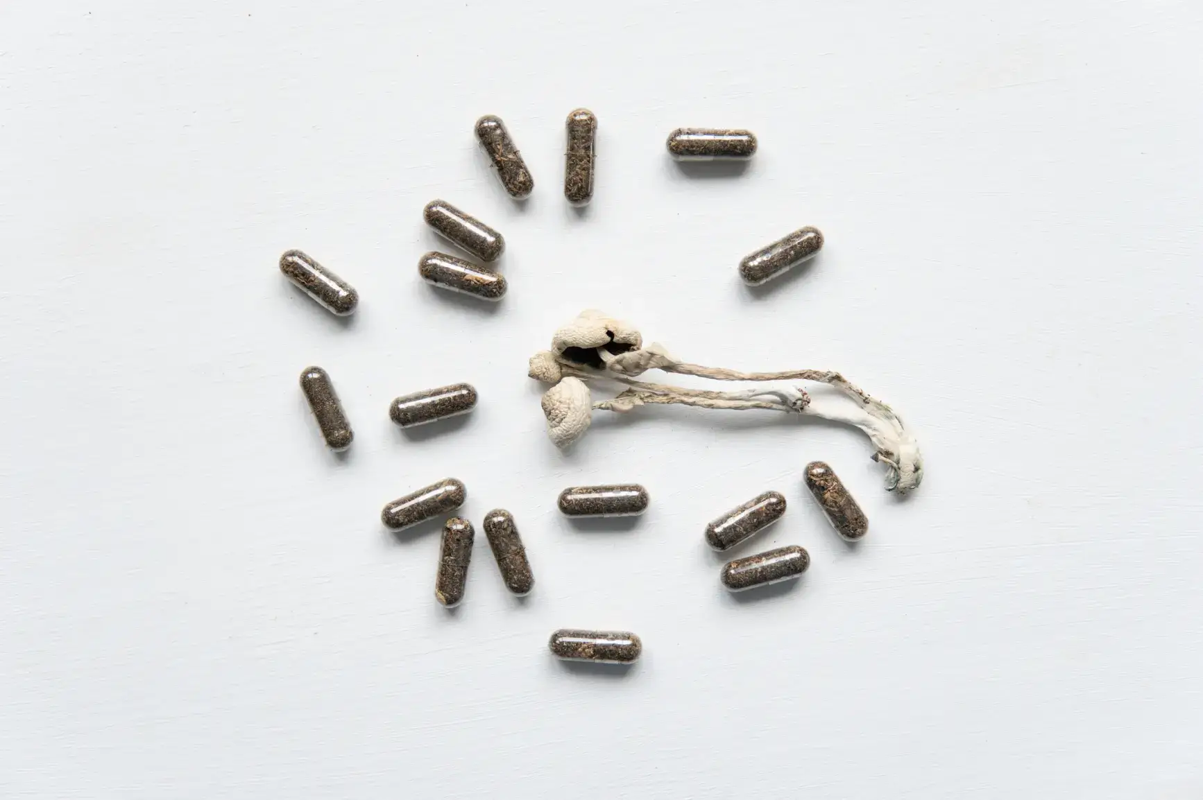 dried white psilocybin mushrooms and capsules