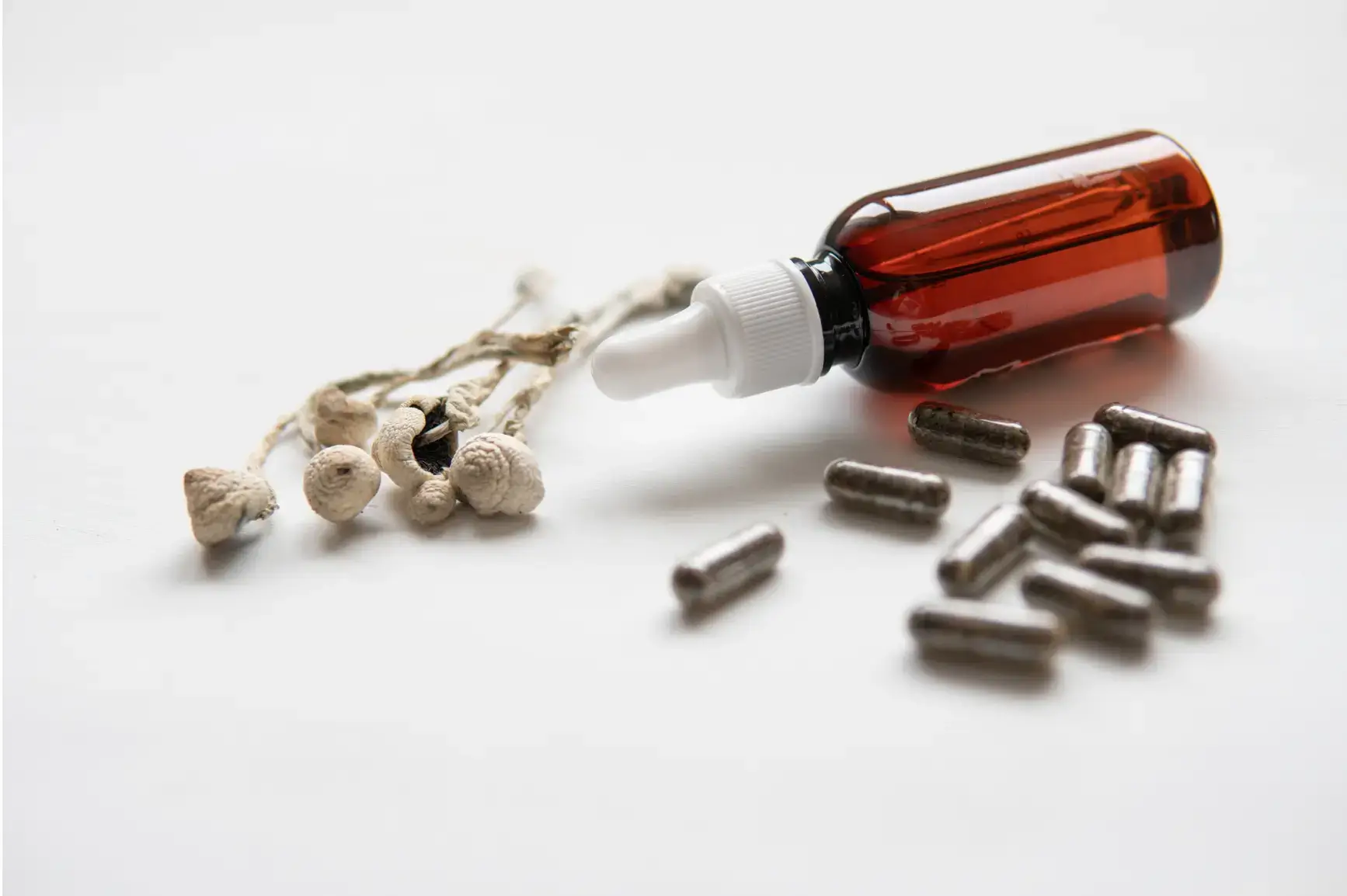 psilocybin mushrooms capsules and tincture