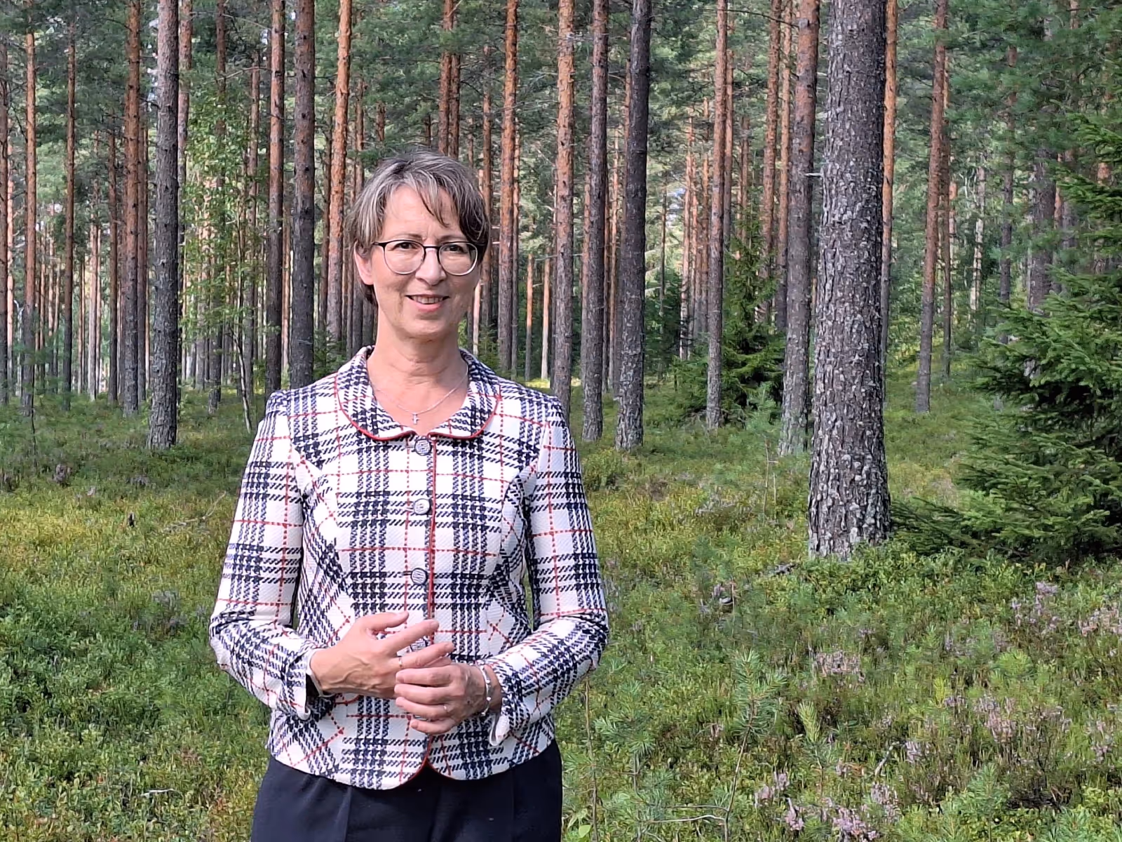 Ministeri Sari Essayah: EU:n uudelle metsätiedon keruulle ei tarvetta – pakkausasetus suosii fossiilisten käyttöä