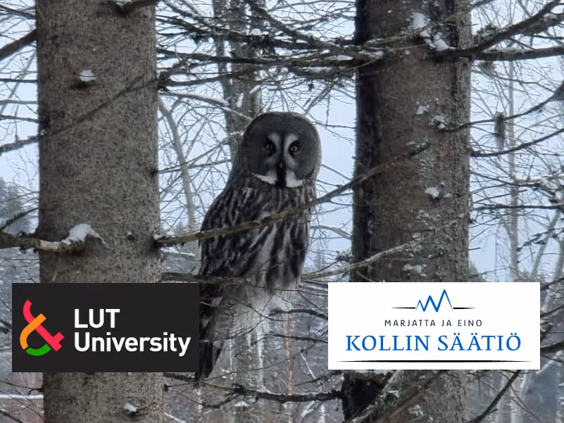 Kollin Säätiön ja LUT:n viisivuotishanke alkanut – katsaus alkuvaiheen kuulumisiin