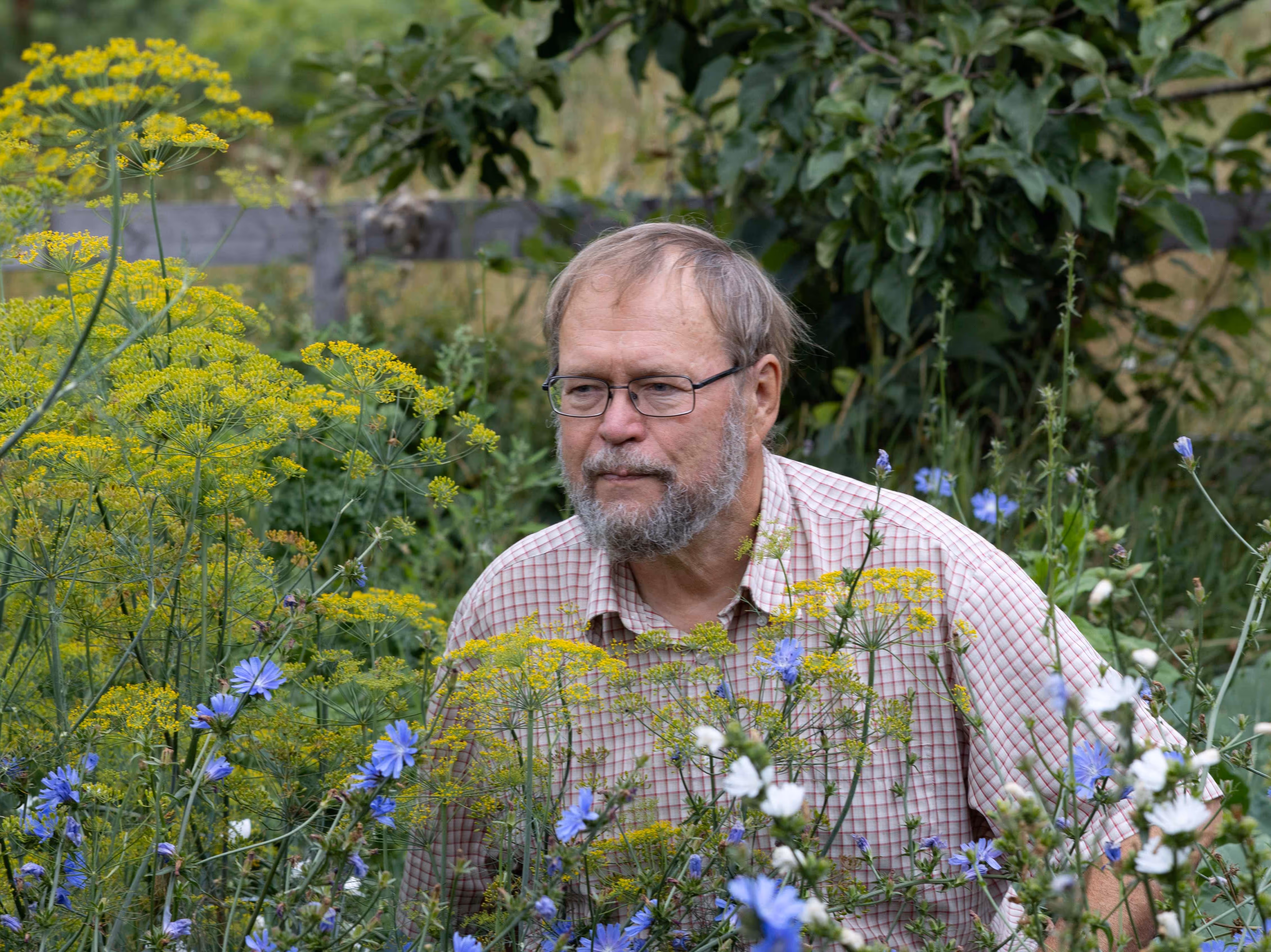 Seppo Vuokko: Metsäkeskustelussa vallalla yhden totuuden ääni
