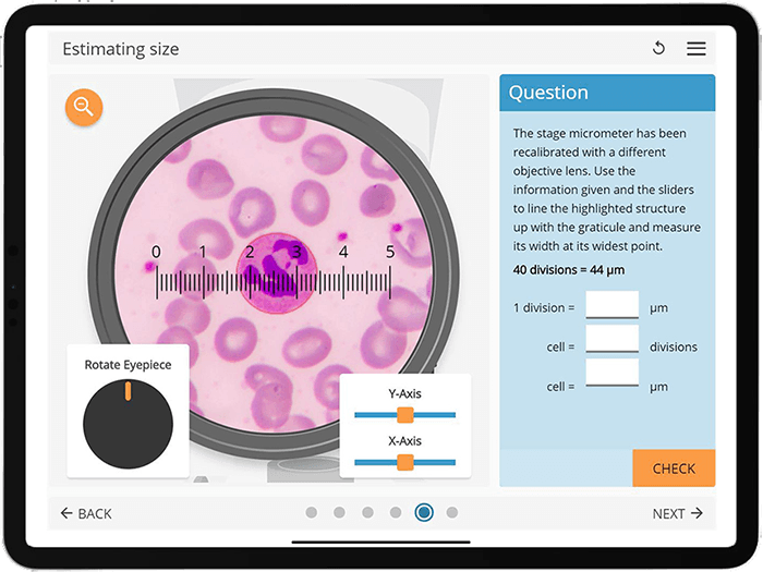 A labsim activity where users can change settings on a microscope and answer questions