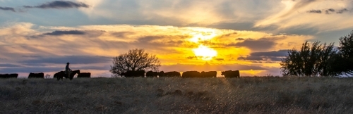Henderson Durham Ranch at Sunset