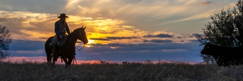 Henderson Durham ranch at sunset