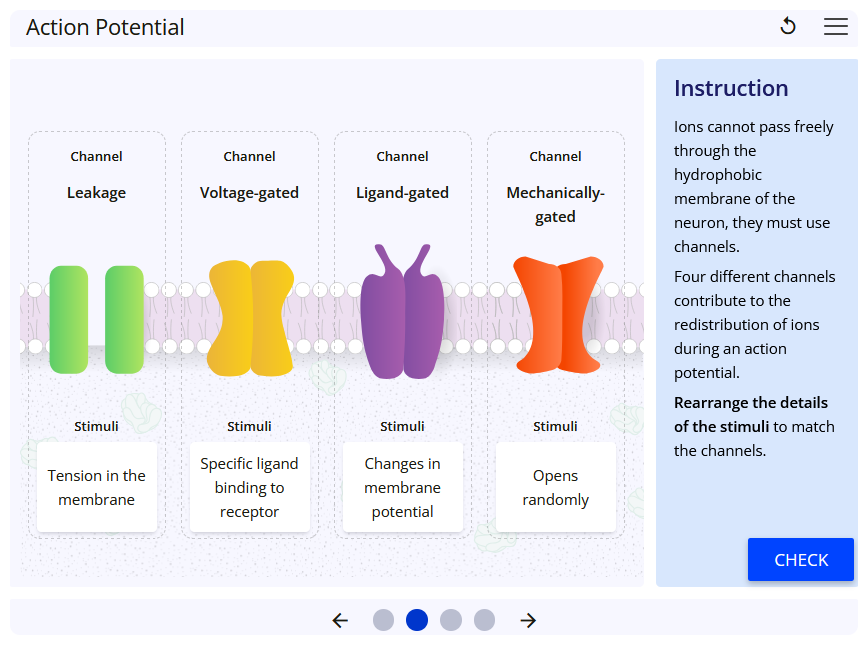 Concepts, principles and theories