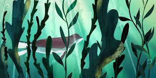Underwater image