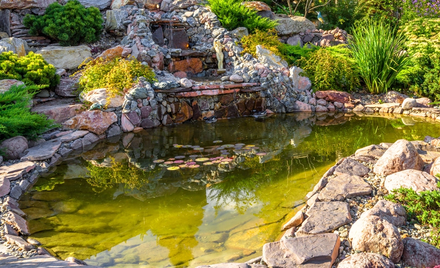 Keeping Your Pond Healthy in Summer