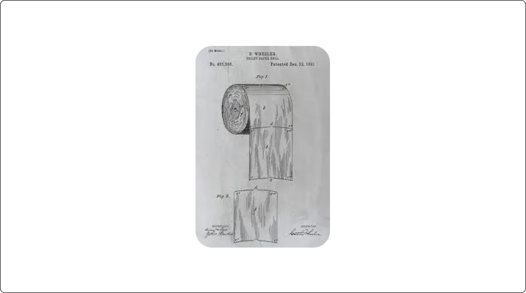 When was modern toilet paper invented?