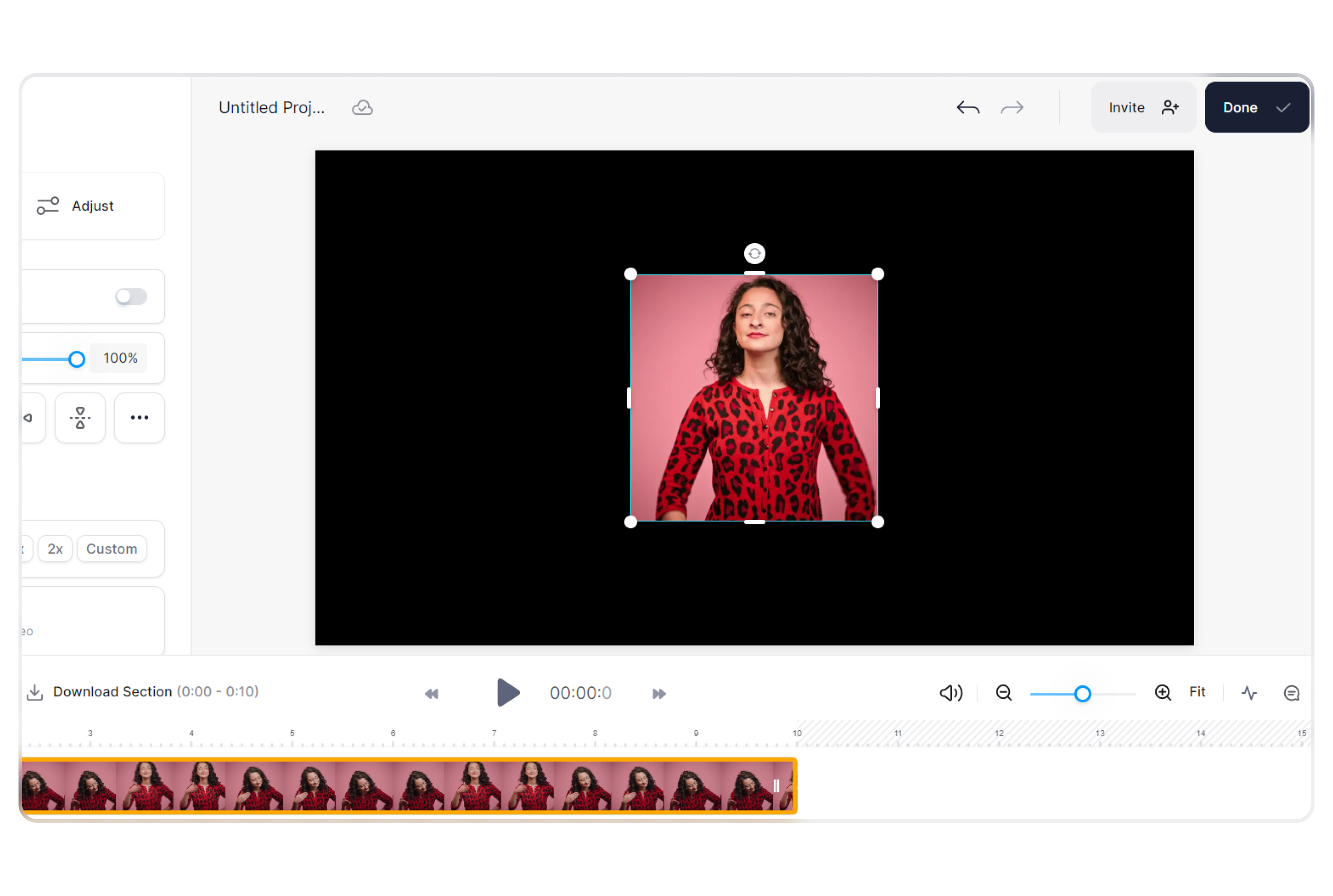 Screenshot of the GIF loaded into the editor.