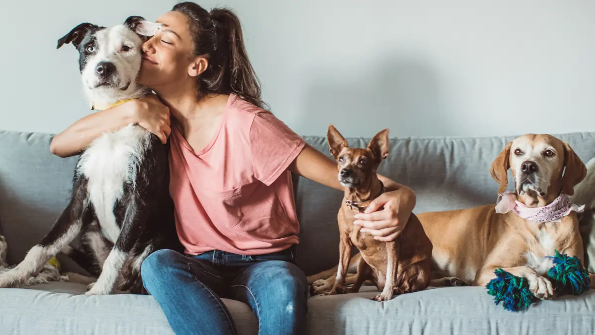 A woman relaxing on a couch with three dogs, highlighting the strong bond between employees and their pets and the growing need for pet benefits in the workplace.