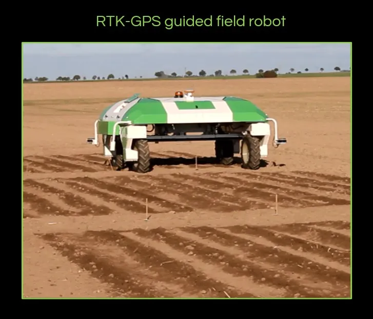 The phenoBob robot on a field