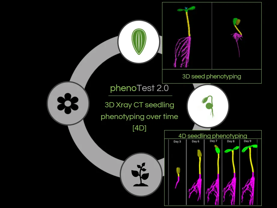 phenoTest in product cycle