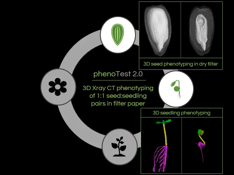 phenoTest in product cycle
