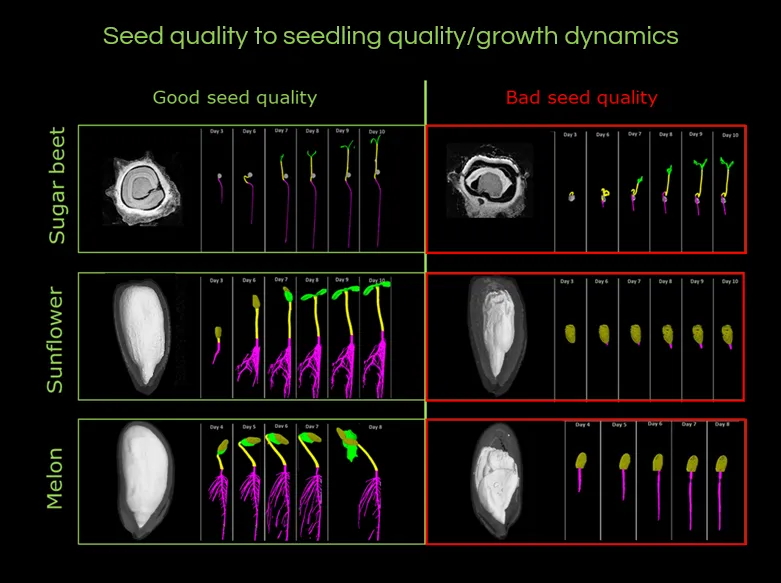 Tableau seed quality 