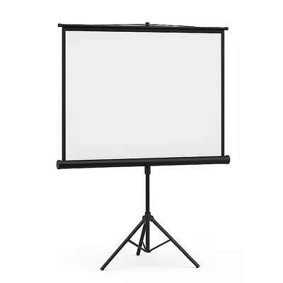 ViewBright 100"