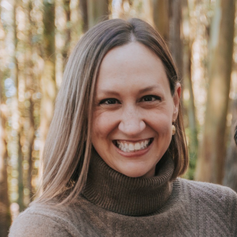 Allison Van Houten