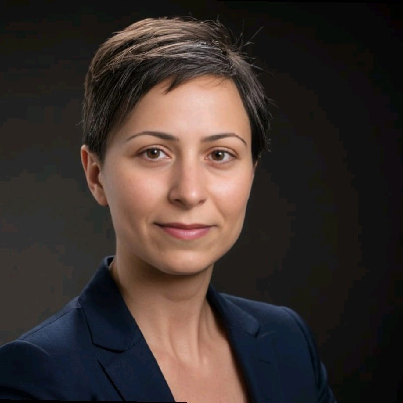 Parisa Kamgar, P.E.