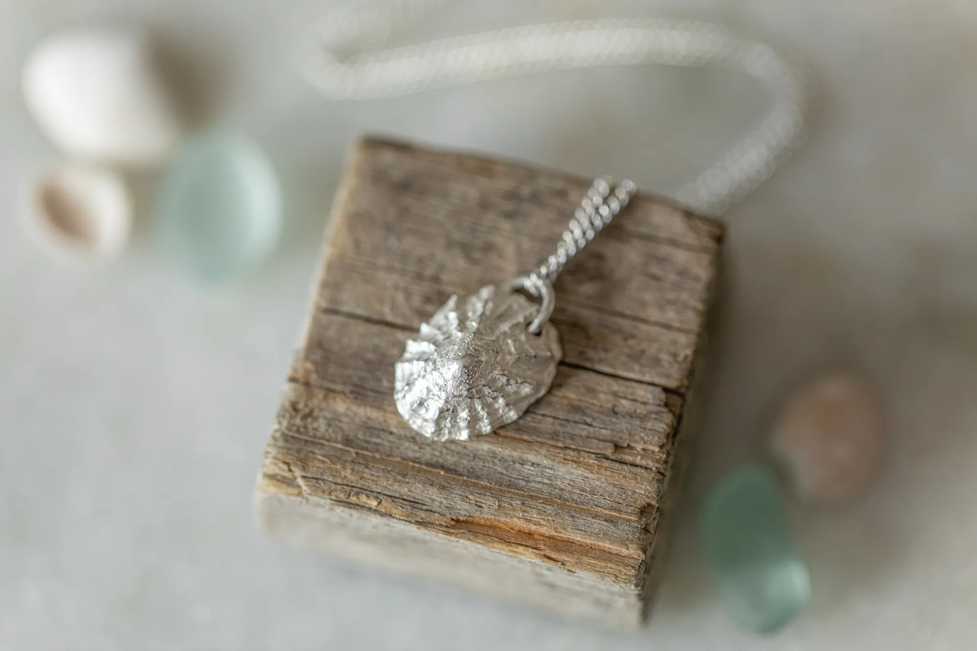 The Quiet Strength of the Limpet