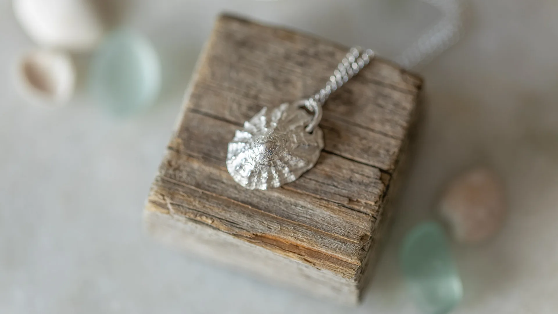 A Coastal inspired, handmade necklace with a cast Limpet Shell in Silver, placed onto a small piece of wood. 