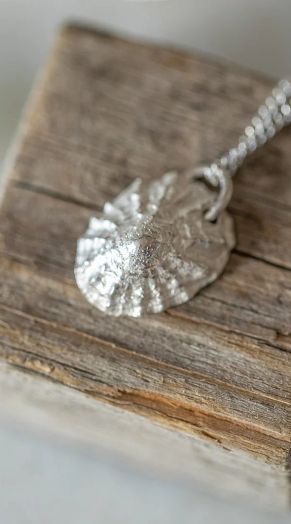 A Coastal inspired, handmade necklace with a cast Limpet Shell in Silver, placed onto a small piece of wood. 