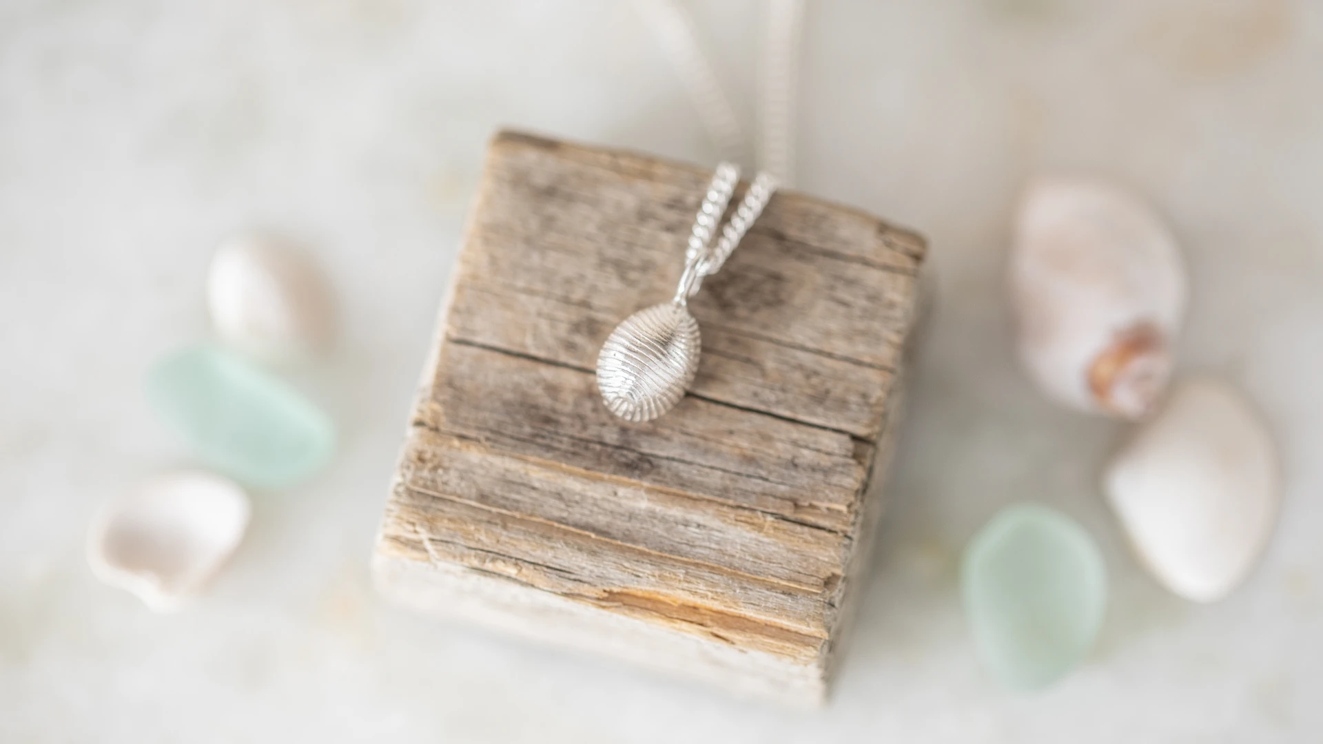 A Coastal inspired, handmade necklace with a cast cowry Shell in Silver, placed onto a small piece of wood. 
