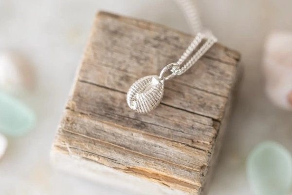 A sterling silver Scottish cowrie shell necklace, cast from a real beach find. A perfect keepsake of seaside memories, beautifully gift wrapped and ready to gift.