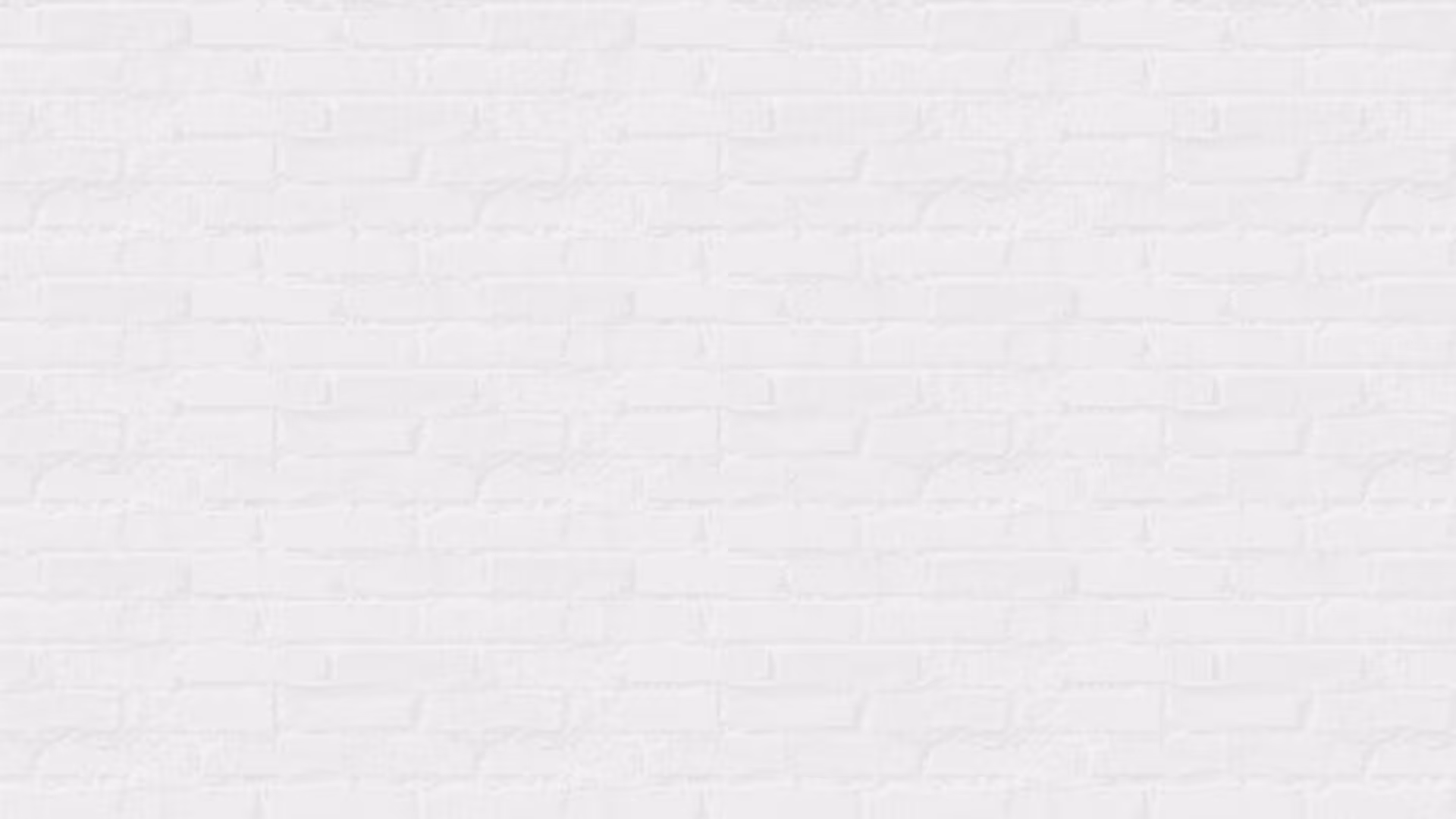 white bricks background