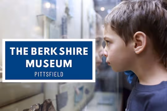 The Berkshire Museum Pittsfield - Kid leaning into the museum glass
