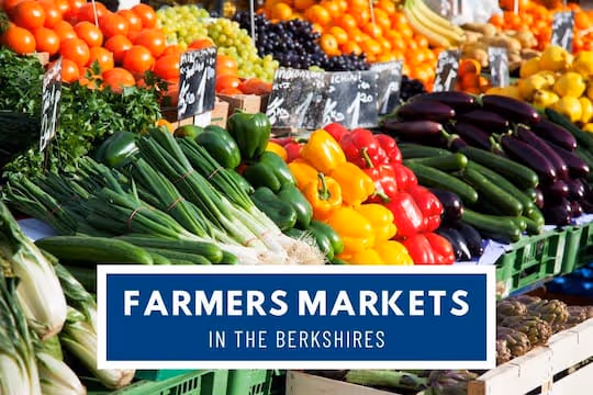 Farmers Markets in The Berkshires - Vegetables