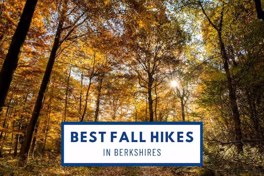 Best Fall Hikes in Berkshires - Autumn Trees