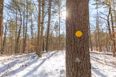 Meadows Wildlife Sanctuary