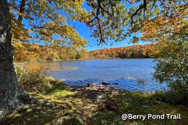 Berry Pond