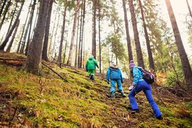 Kids hiking