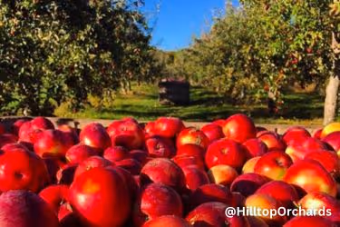 Furnace Brook Winery at Hilltop Orchards