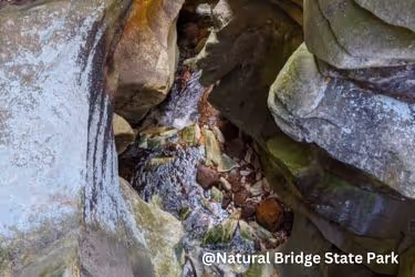 Natural Bridge State Park
