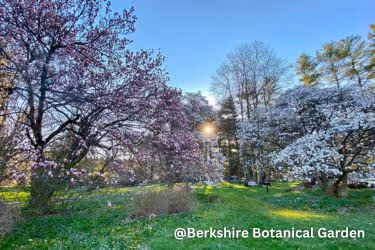 Berkshire Botanical Garden
