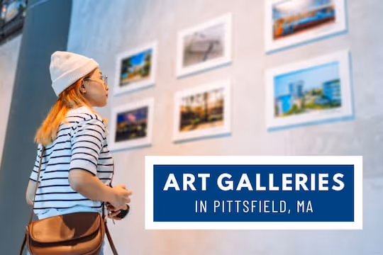 Art Galleries in Pittsfield, MA - Woman looking at Art