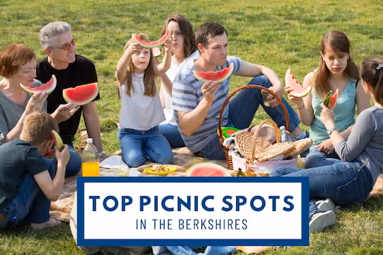 Top Picnic Spots in the Berkshires - Family having a fun picnic