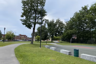 a walking trail in a park