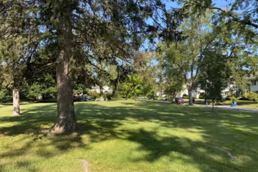 a few shade trees in the park