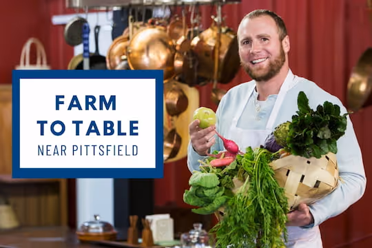 Farm to Table Near Pittsfield - Chef with fresh ingredients
