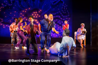Musical show at The Barrington Stage Company